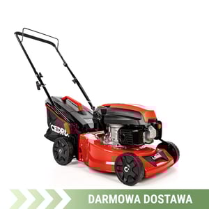 Zdjęcie produktu Kosiarka spalinowa Cedrus KS42